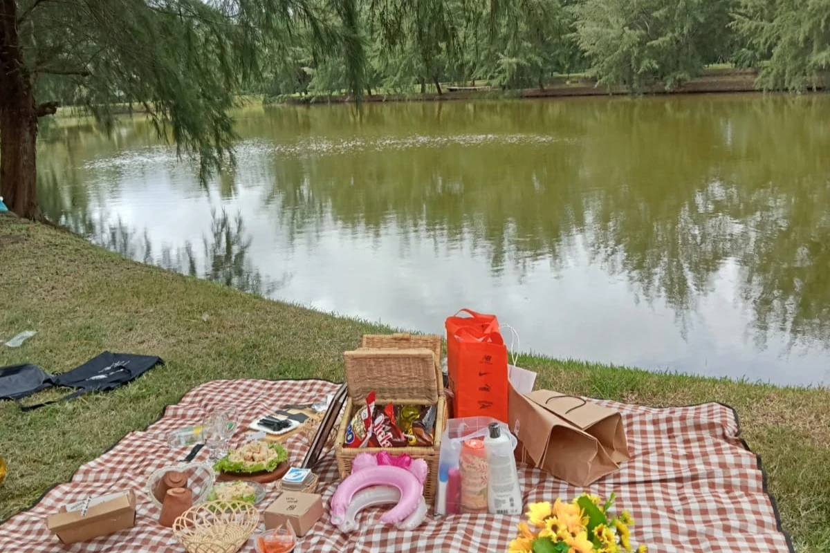 piknik 2