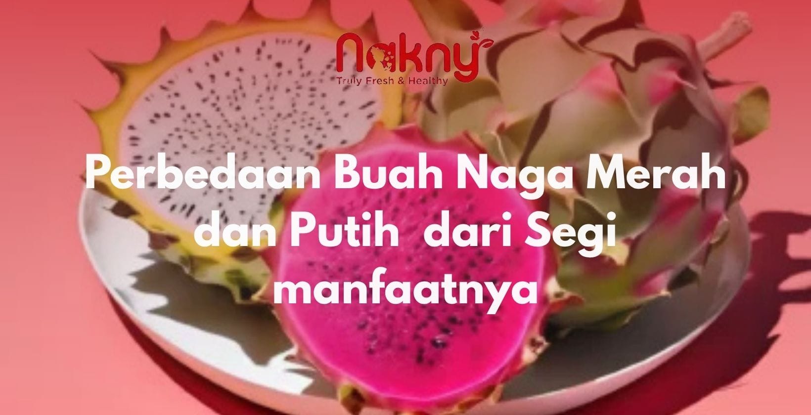 Perbedaan Buah Naga Merah dan Putih dari Segi manfaatnya