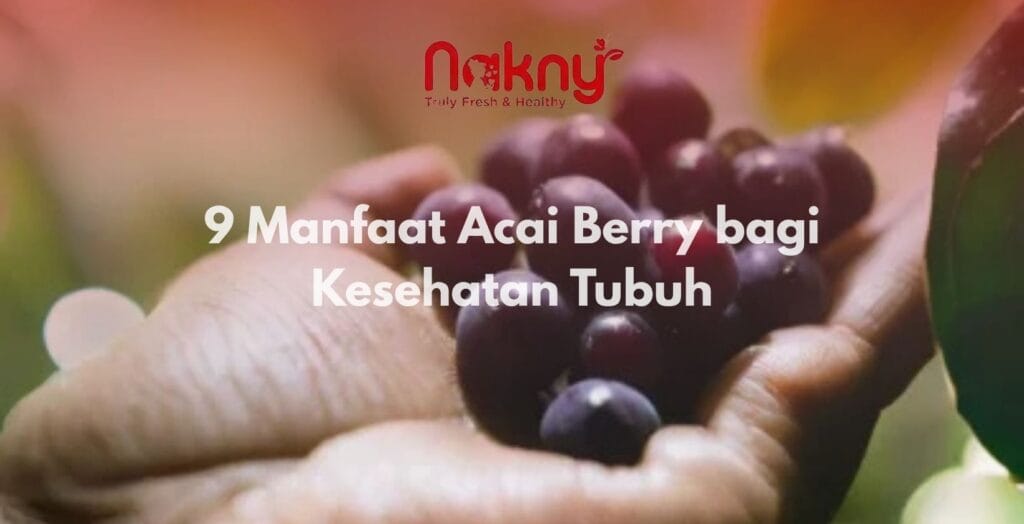 9 Manfaat Acai Berry bagi Kesehatan Tubuh 9 Manfaat Acai Berry bagi Kesehatan Tubuh
