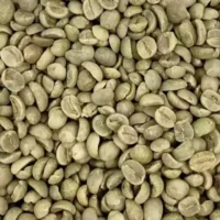 Excelsa Coffee