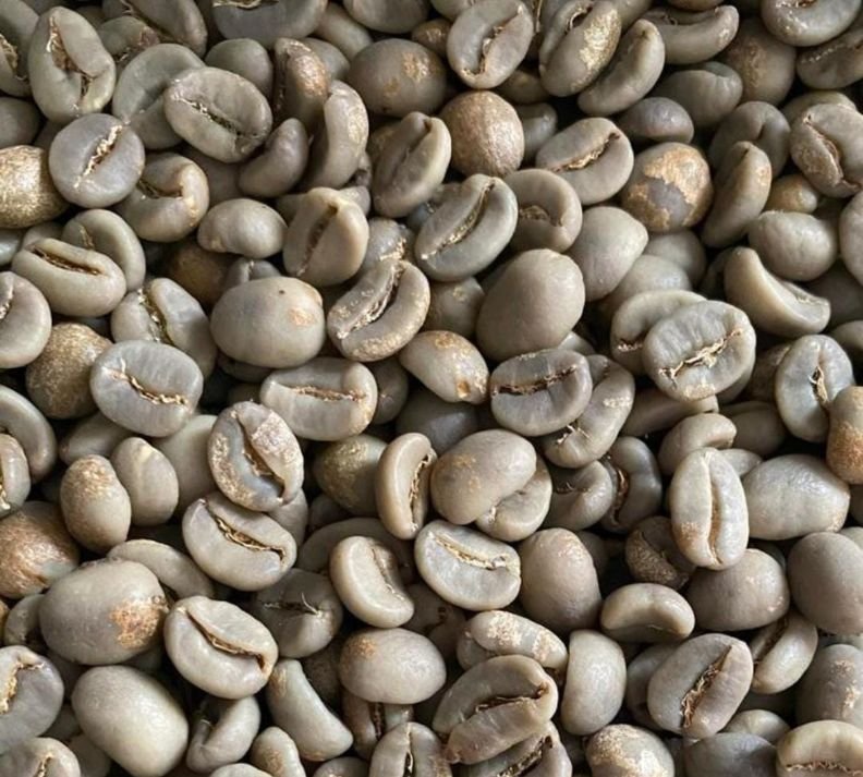 Bali, Gayo, Java Honey - Nakny.id