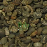 Organic Mandheling Sumatra Coffee