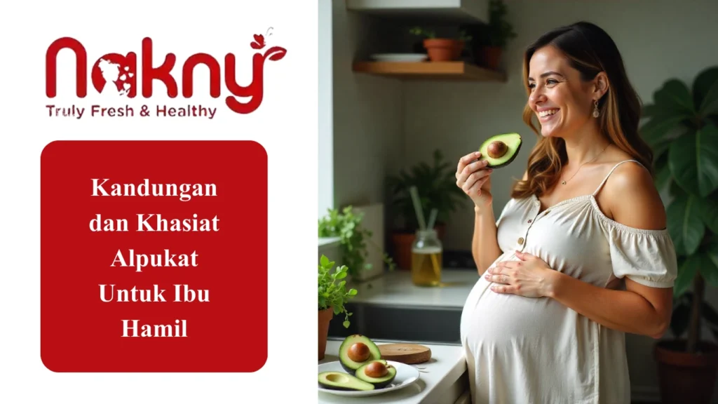 Kandungan dan Khasiat Alpukat Untuk Ibu Hamil Kandungan dan Khasiat Alpukat Untuk Ibu Hamil